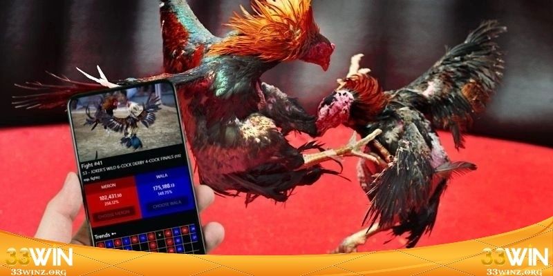 Thị hiếu xem đá gà cựa sắt hôm nay